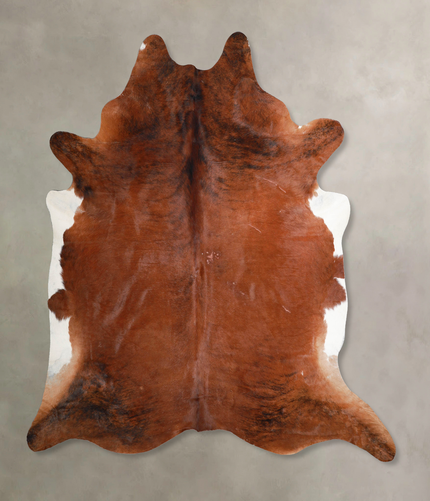Medium Brindle XX-Large Brazilian Cowhide Rug 8'2"H x 7'7"W #A46020 by Hudson Hides