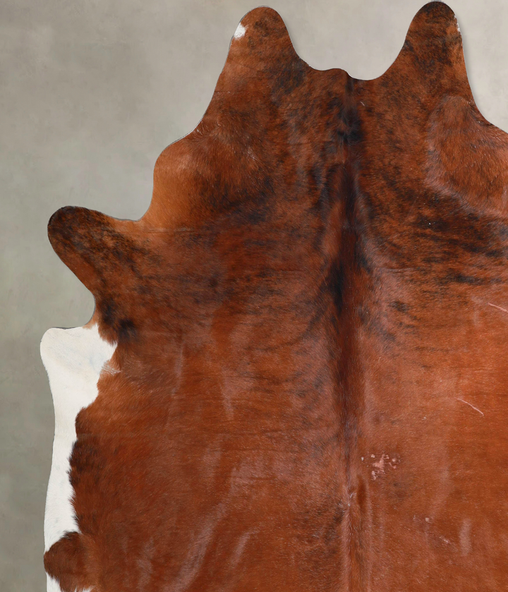 Medium Brindle XX-Large Brazilian Cowhide Rug 8'2"H x 7'7"W #A46020 by Hudson Hides