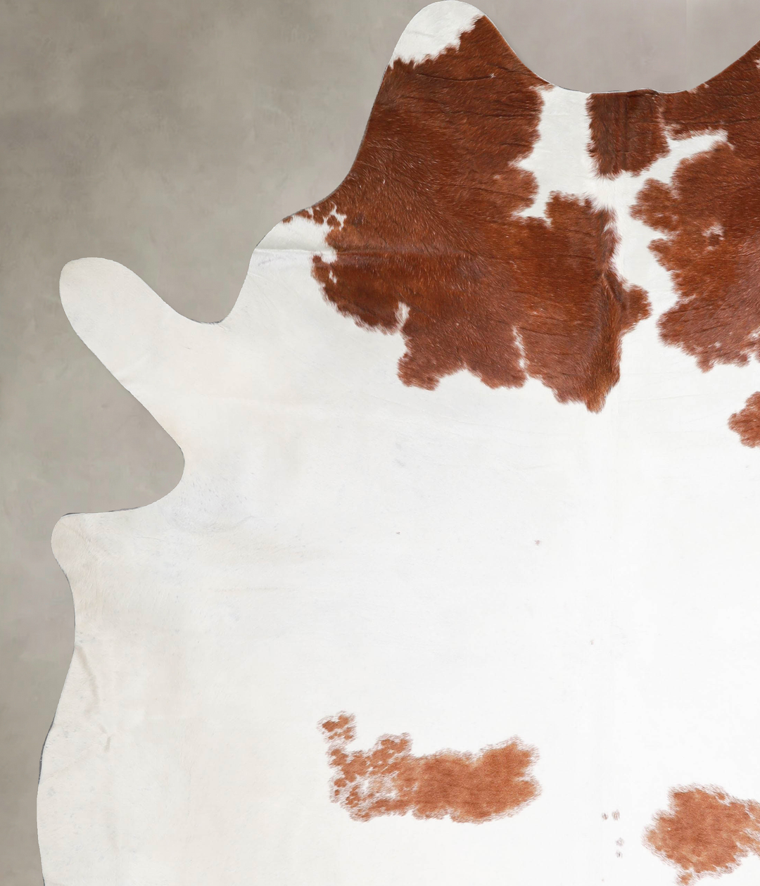 Brown and White XX-Large Brazilian Cowhide Rug 8'2"H x 6'9"W #A46026 b