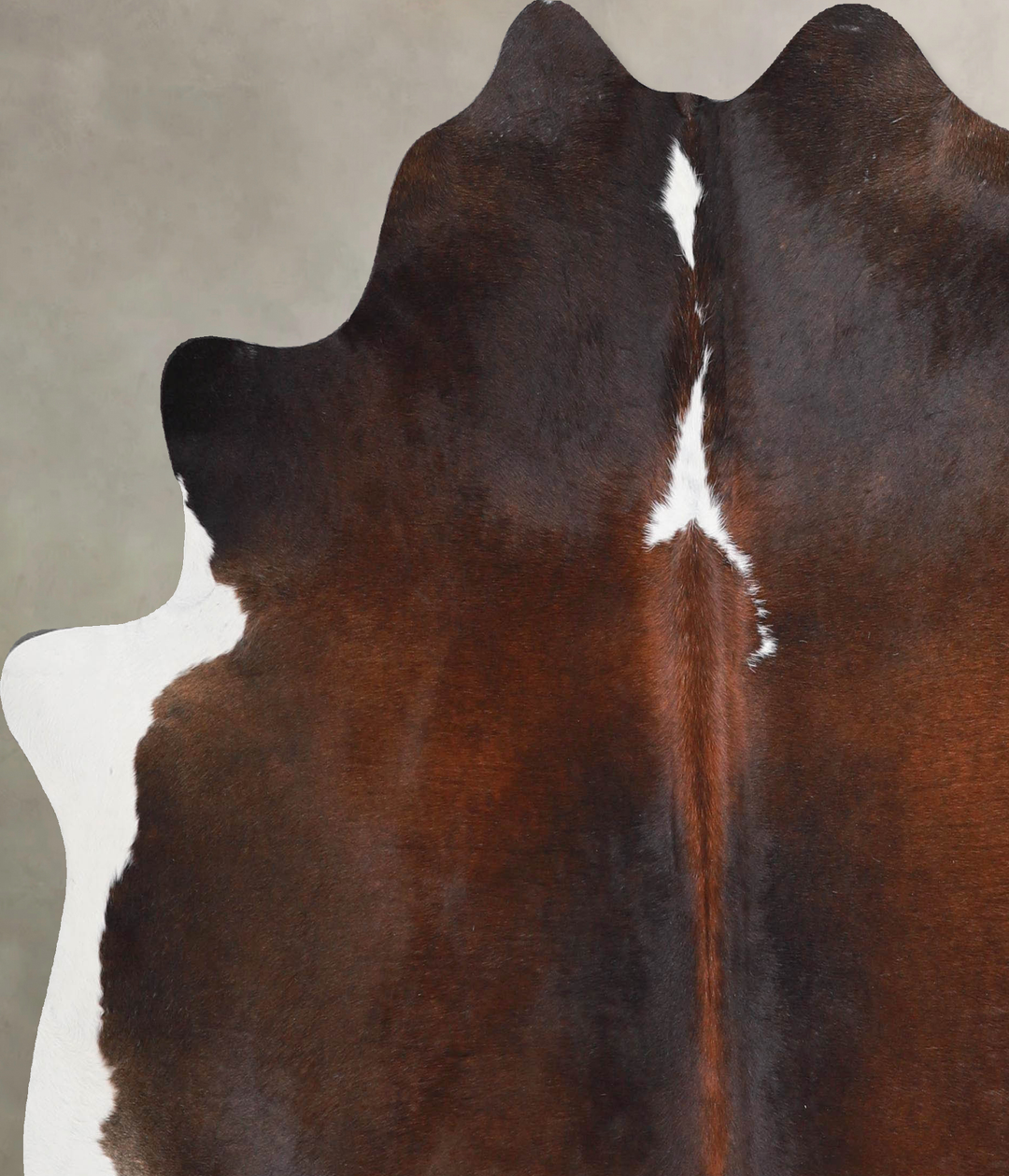 Chocolate and White Large Brazilian Cowhide Rug 6'0"H x 5'10"W #A46032