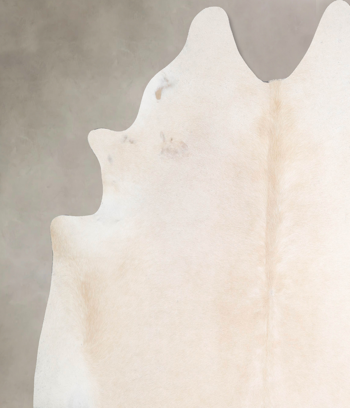 Ivory with Beige Cowhide Rug #A46126