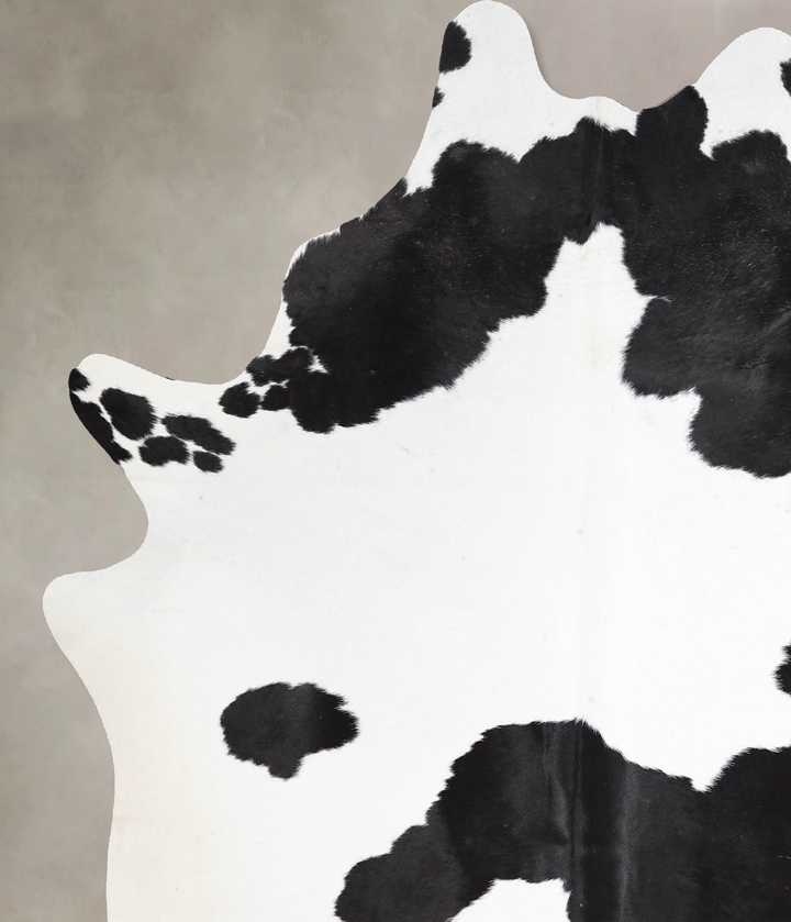 Black and White X-Large Brazilian Cowhide Rug 7'5"H x 5'11"W #A46144 by Hudson Hides