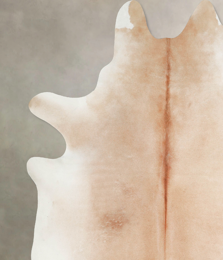 Light Caramel XX-Large Brazilian Cowhide Rug 8'4"H x 7'1"W #A46197 by Hudson Hides