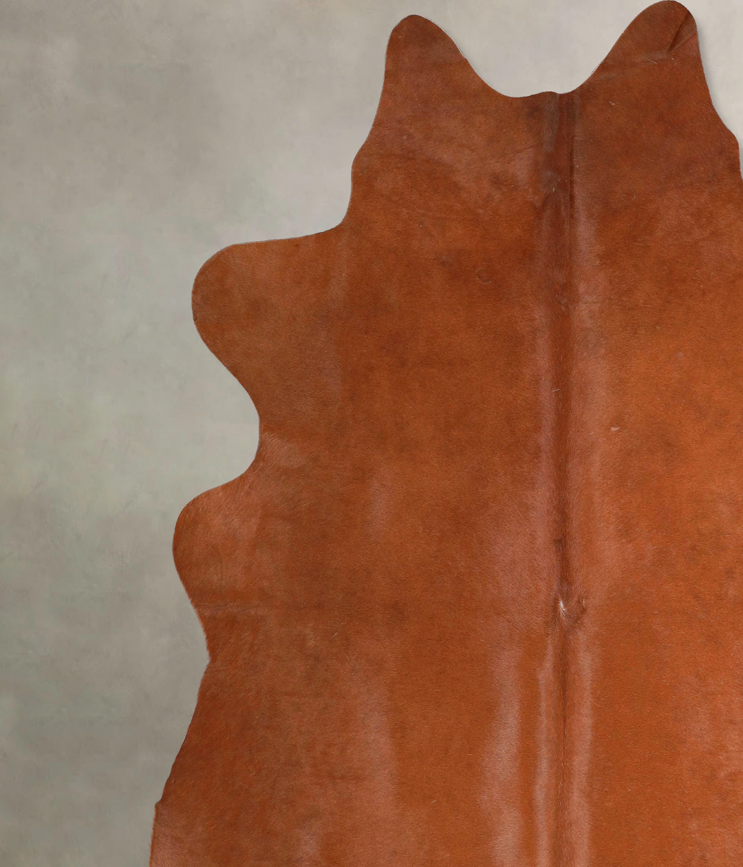 Solid Brown XX-Large Brazilian Cowhide Rug 7'6"H x 7'2"W #A46209 by Hu