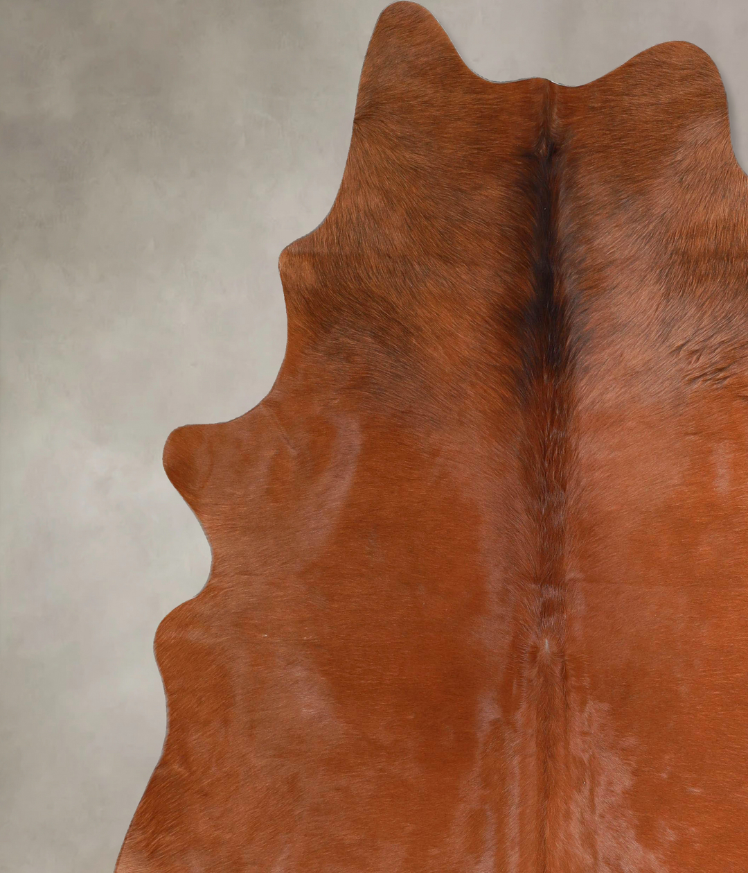Solid Brown X-Large Brazilian Cowhide Rug 7'6"H x 6'7"W #A46224 by Hud