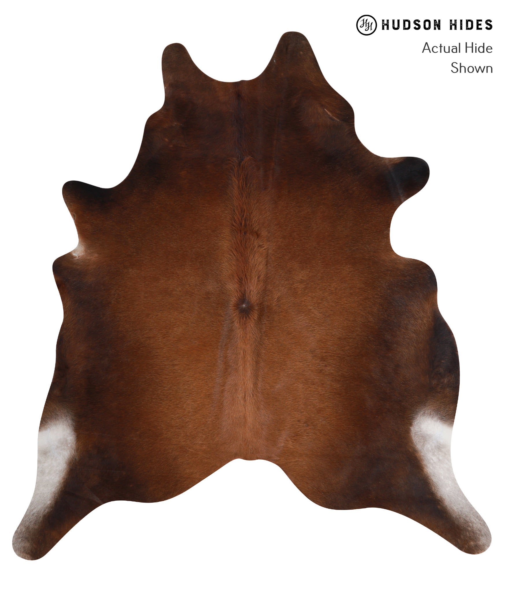 Brown with Red Cowhide Rug #A4624