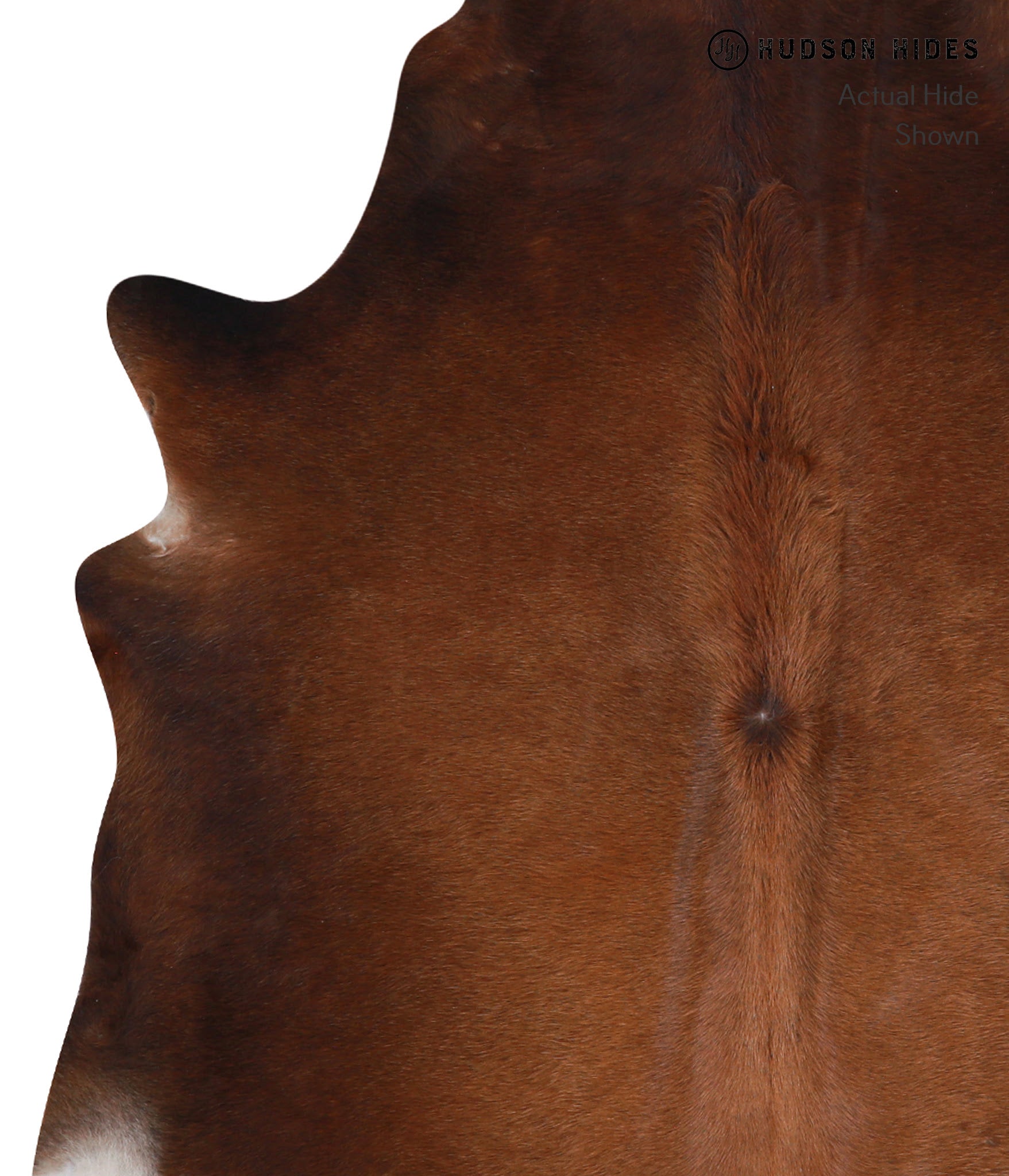 Brown with Red Cowhide Rug #A4624