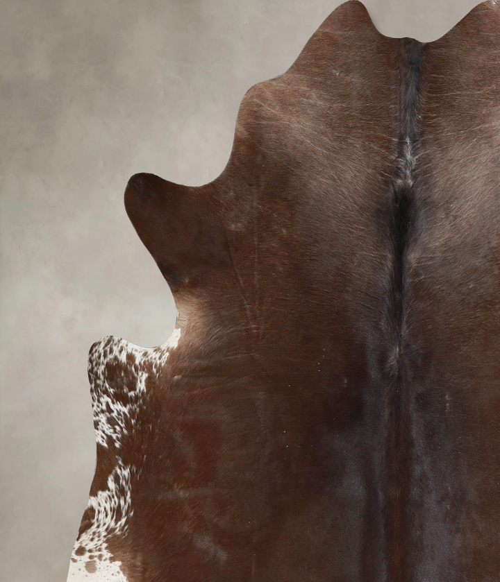 Chocolate X-Large Brazilian Cowhide Rug 6'6"H x 6'7"W #A46252 by Hudson Hides