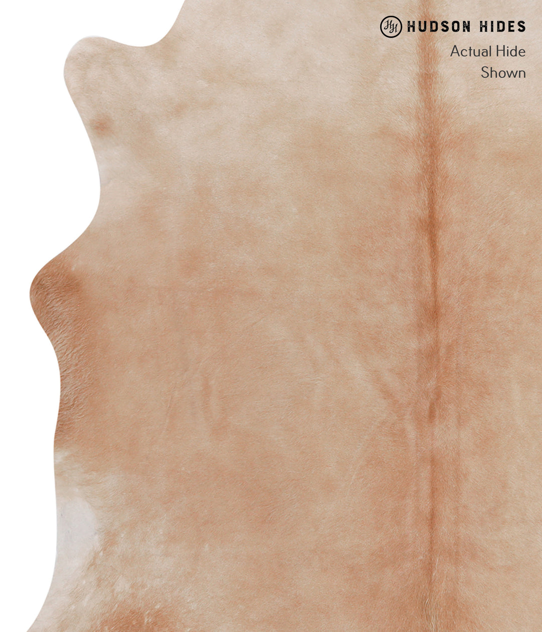 Beige X-Large Brazilian Cowhide Rug 6'2"H x 6'9"W #A4626 by Hudson Hid