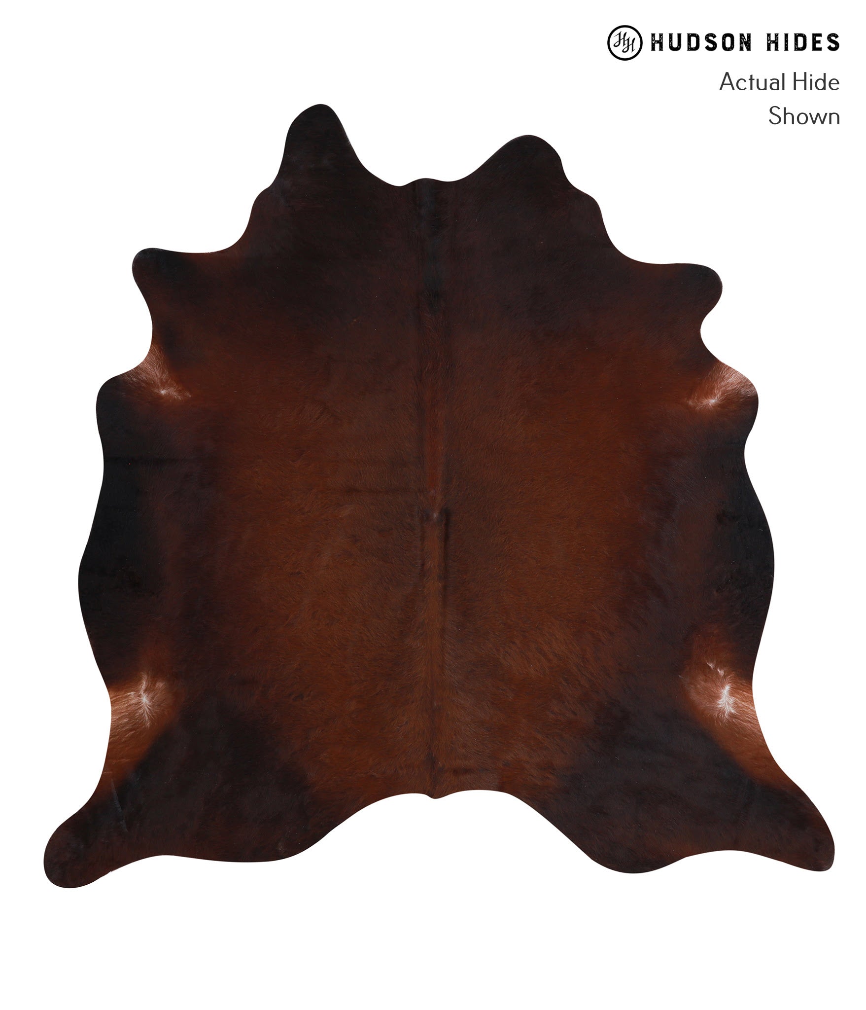 Brown with Red Cowhide Rug #A4627