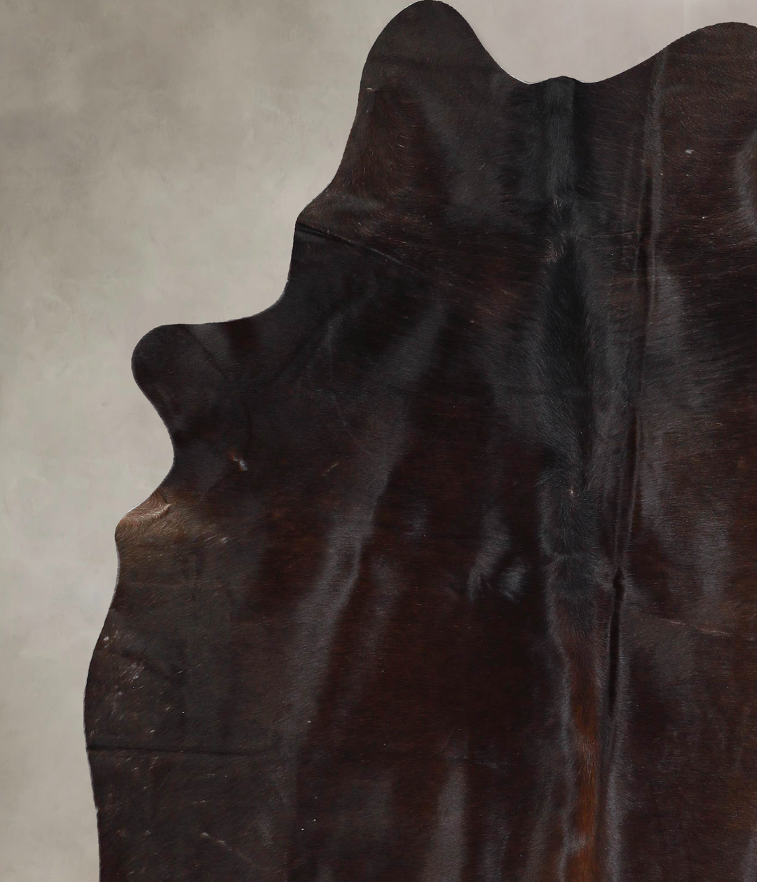Chocolate Large Brazilian Cowhide Rug 6'6"H x 5'4"W #A46275 by Hudson 