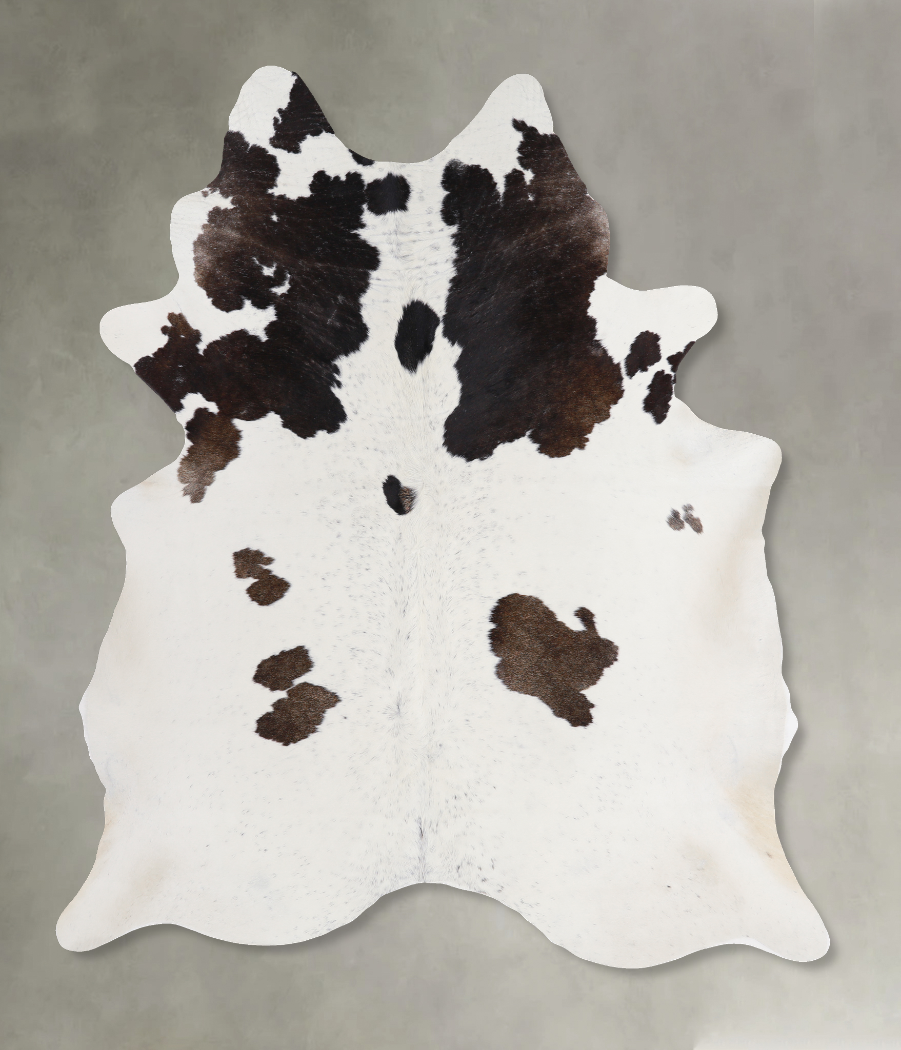 Chocolate and White Cowhide Rug #A4632