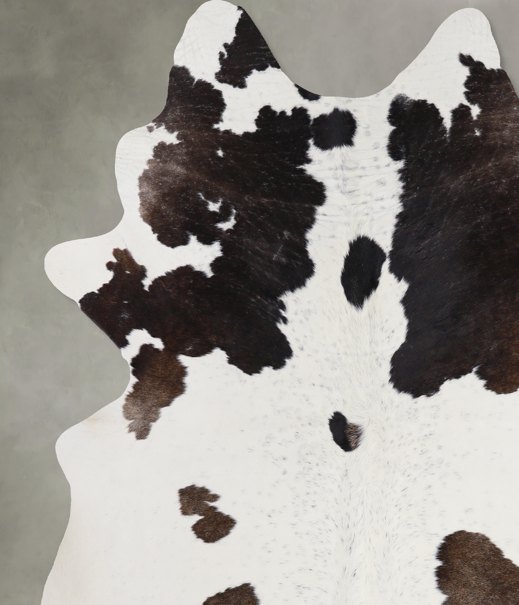 Chocolate and White Cowhide Rug #A4632