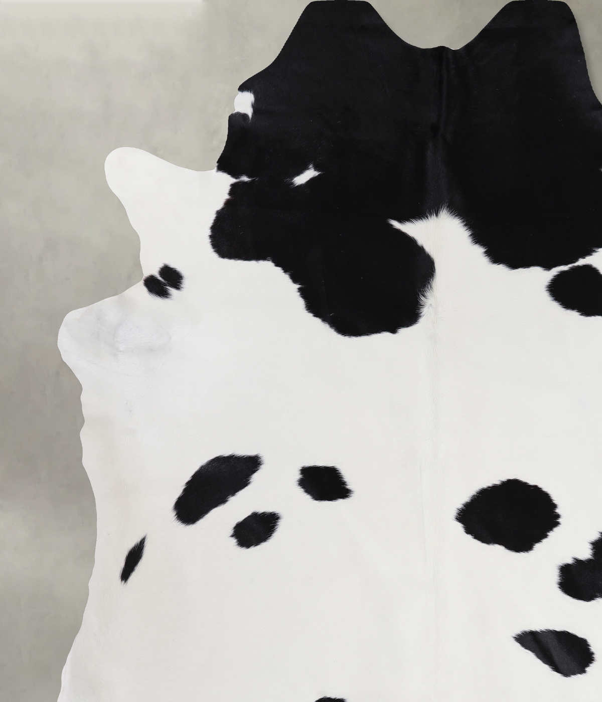 Black and White XX-Large Brazilian Cowhide Rug 8'4"H x 7'11"W #A4636 by Hudson Hides