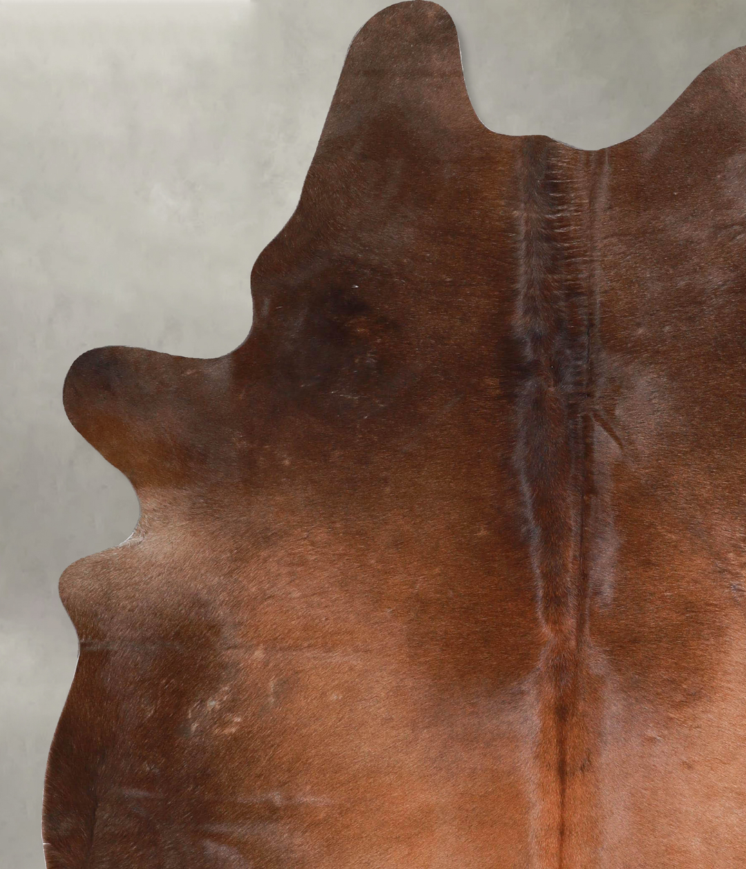 Warm Caramel Large Brazilian Cowhide Rug 7'0"H x 5'6"W #A46364 by Huds