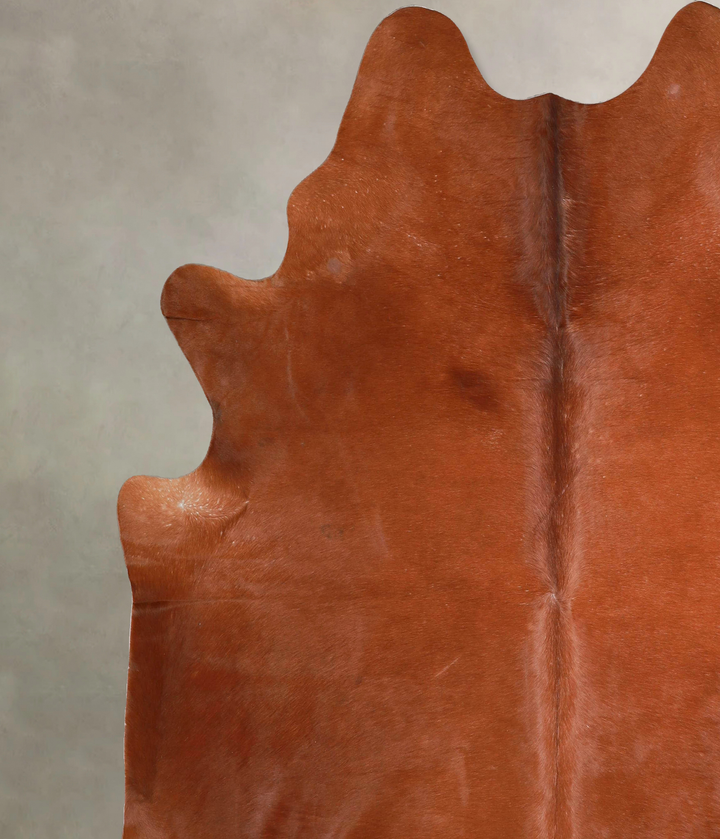 Solid Brown XX-Large Brazilian Cowhide Rug 7'7"H x 7'2"W #A46376 by Hudson Hides