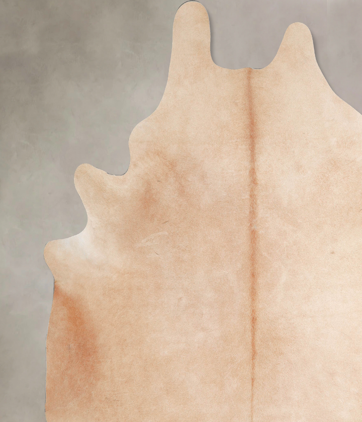 Beige XX-Large Brazilian Cowhide Rug 8'3"H x 7'6"W #A46426 by Hudson Hides