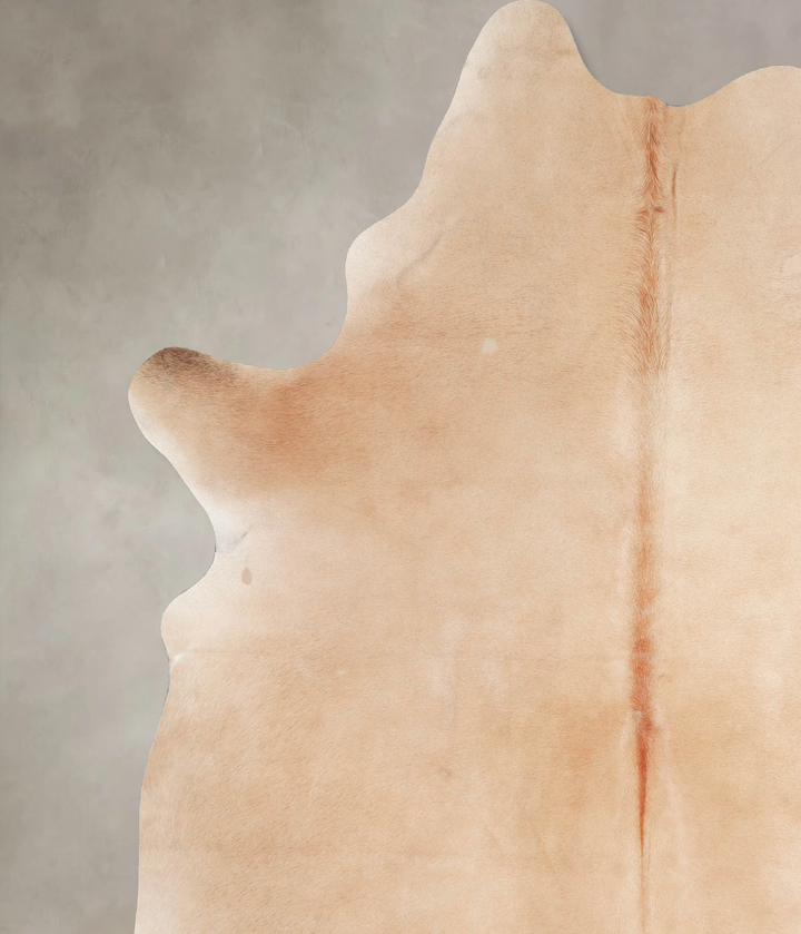 Beige X-Large Brazilian Cowhide Rug 7'7"H x 5'10"W #A46429 by Hudson Hides
