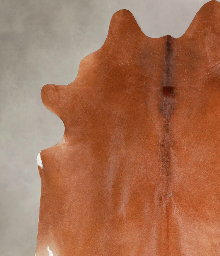 Solid Brown X-Large Brazilian Cowhide Rug 7'1"H x 6'6"W #A46441 by Hudson Hides