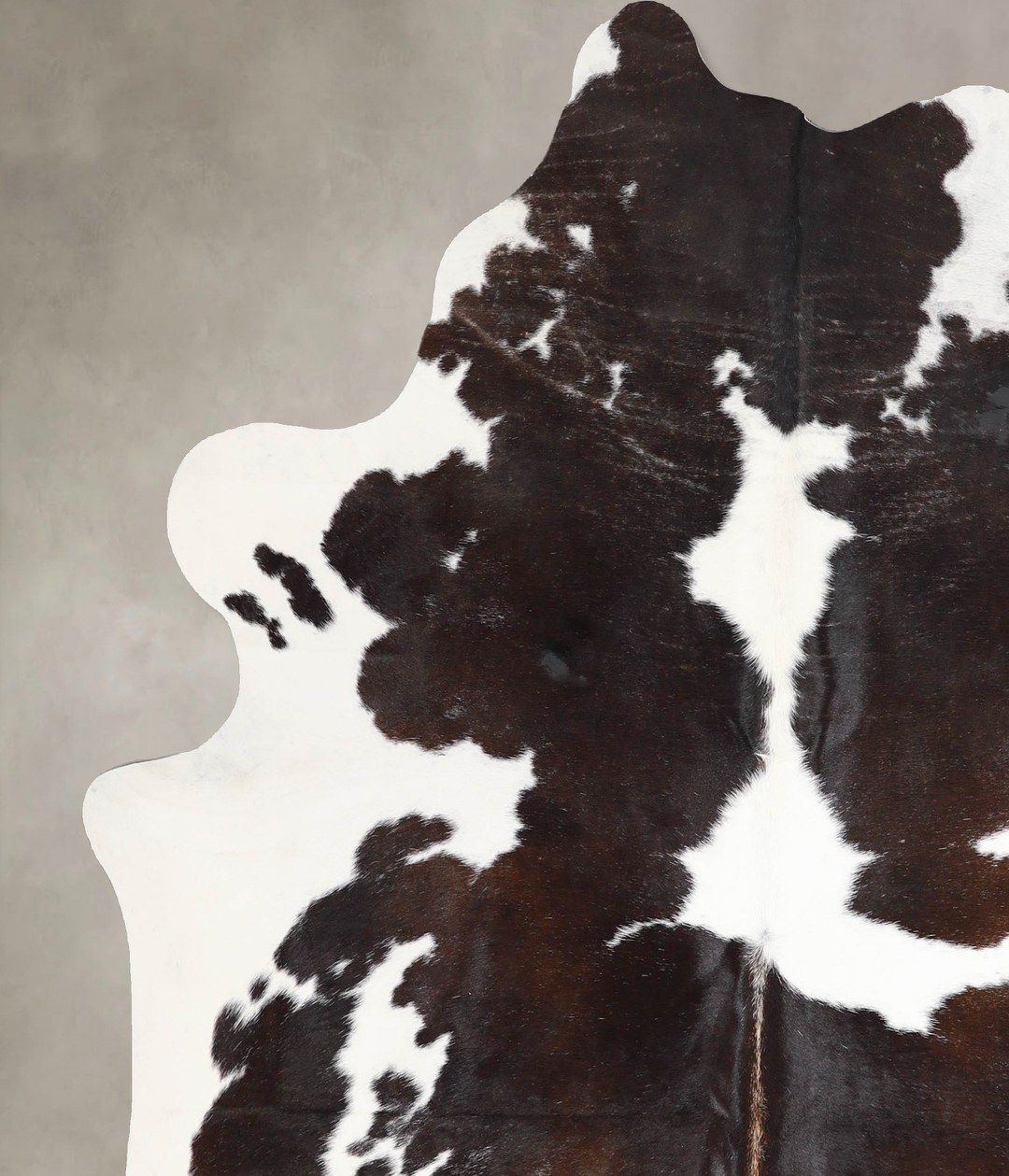 Chocolate and White X-Large Brazilian Cowhide Rug 6'11"H x 6'1"W #A464