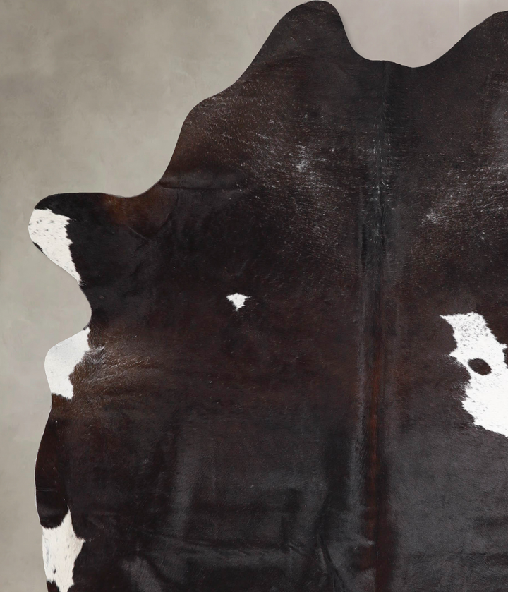 Chocolate and White X-Large Brazilian Cowhide Rug 7'2"H x 5'8"W #A46463 by Hudson Hides