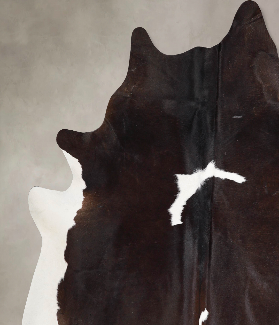 Chocolate and White XX-Large Brazilian Cowhide Rug 7'7"H x 7'3"W #A464