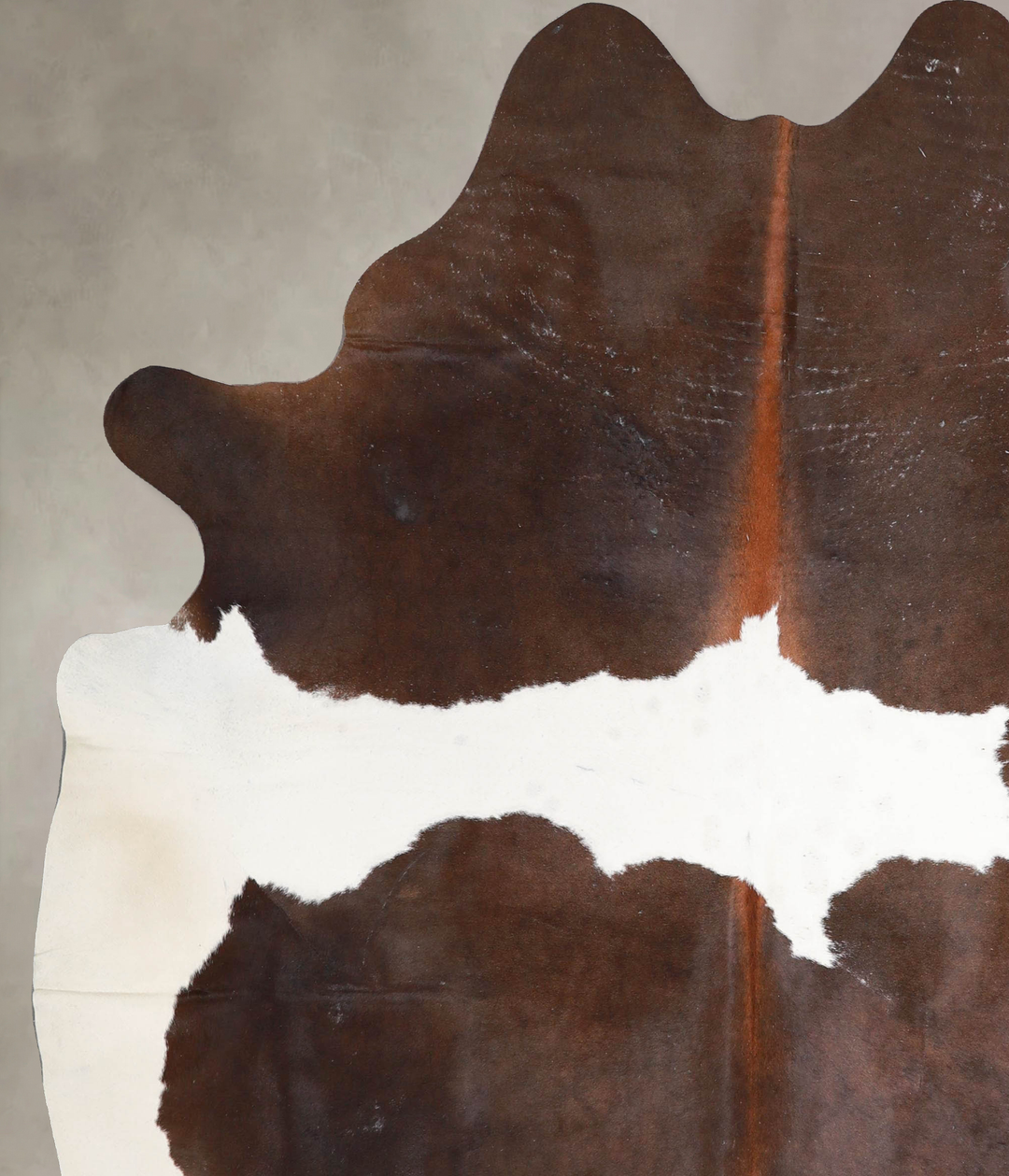Chocolate and White X-Large Brazilian Cowhide Rug 7'6"H x 6'3"W #A4650