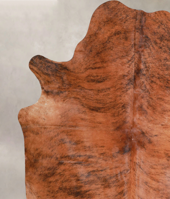 Medium Brindle X-Large Brazilian Cowhide Rug 6'9"H x 6'0"W #A46529 by Hudson Hides