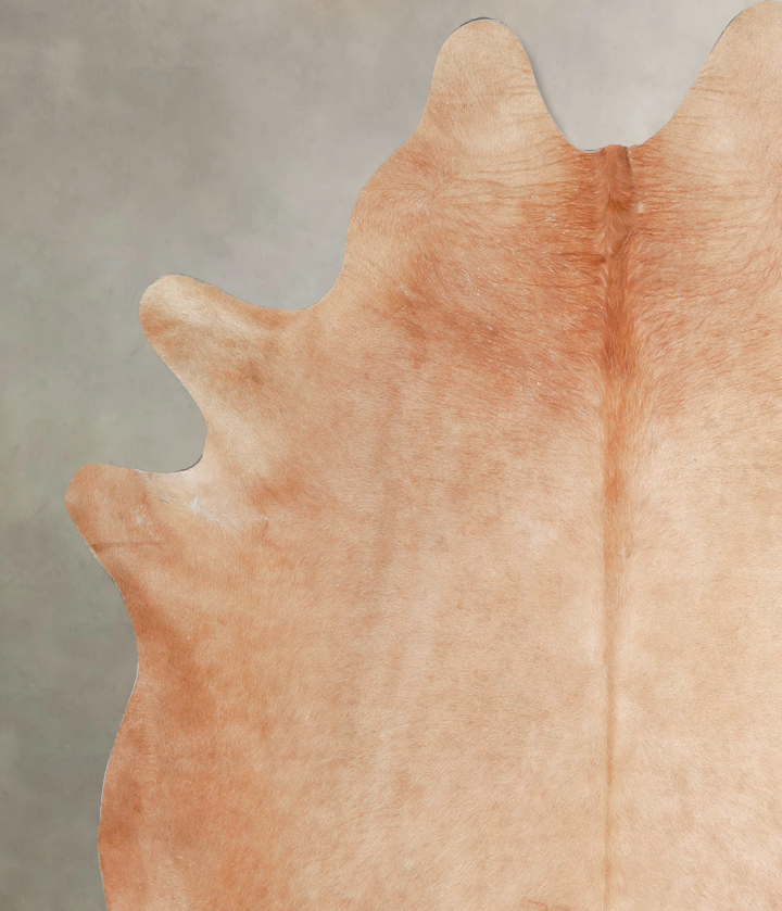 Beige X-Large Brazilian Cowhide Rug 6'9"H x 6'3"W #A46566 by Hudson Hides