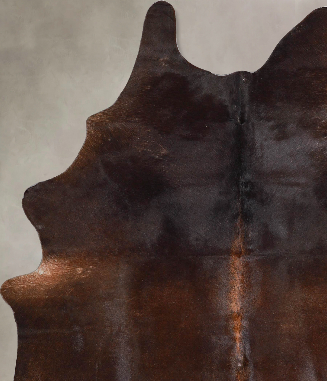 Chocolate Large Brazilian Cowhide Rug 6'10"H x 5'7"W #A46575 by Hudson