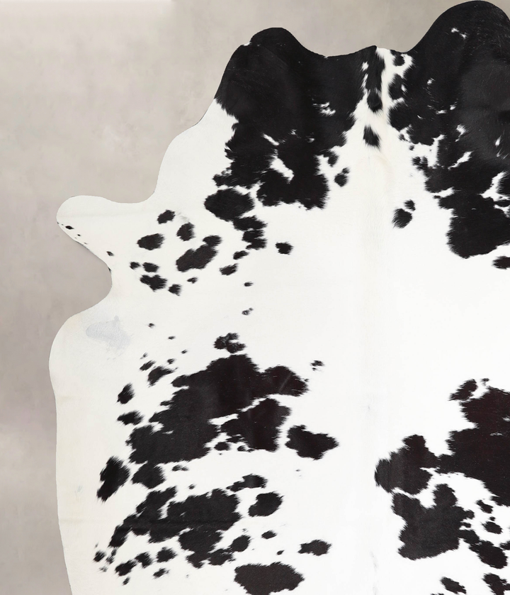 Black and White XX-Large Brazilian Cowhide Rug 7'6"H x 7'3"W #A46579 by Hudson Hides
