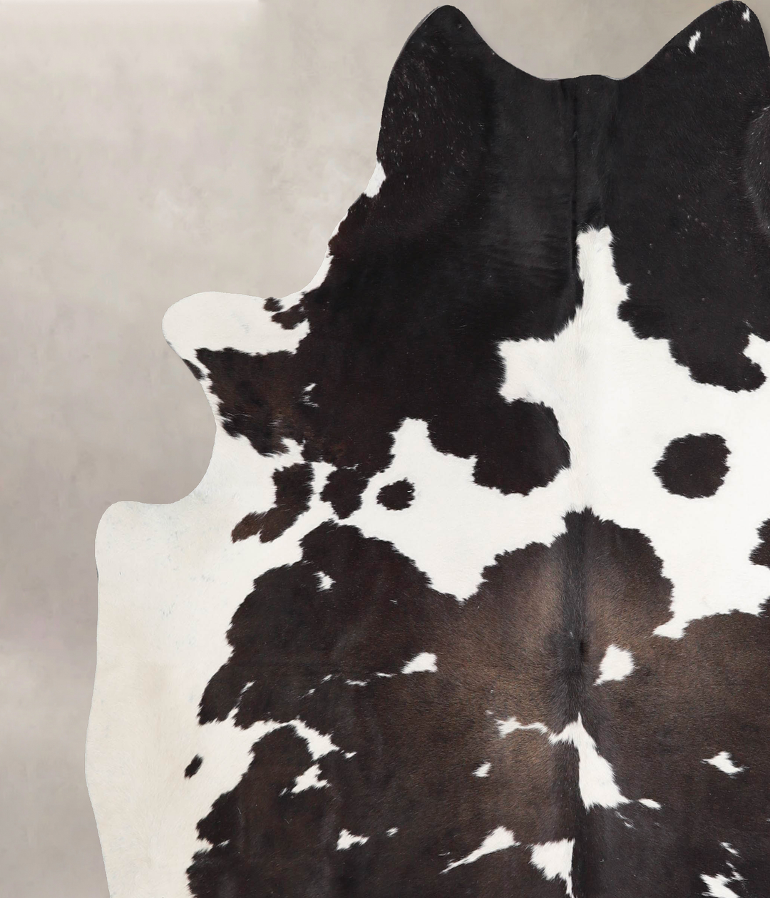 Chocolate and White X-Large Brazilian Cowhide Rug 6'10"H x 6'4"W #A465
