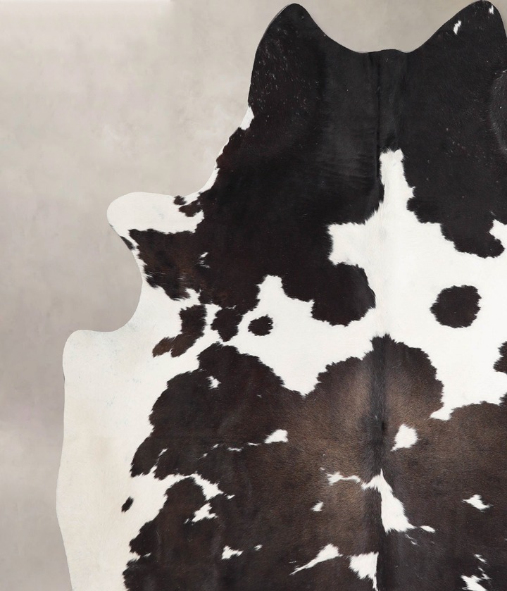 Chocolate and White X-Large Brazilian Cowhide Rug 6'10"H x 6'4"W #A46582 by Hudson Hides