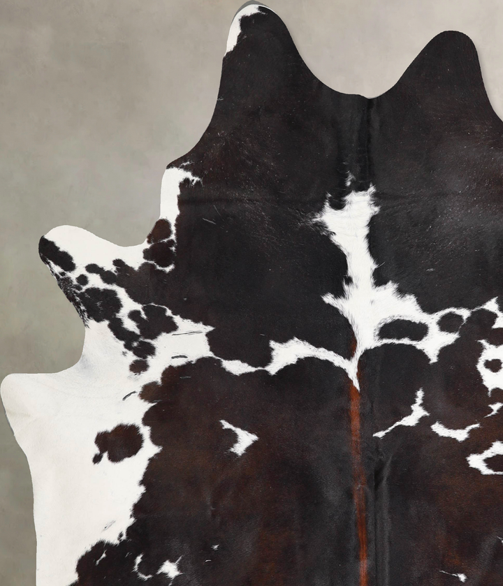 Chocolate and White X-Large Brazilian Cowhide Rug 7'4"H x 6'0"W #A46584 by Hudson Hides