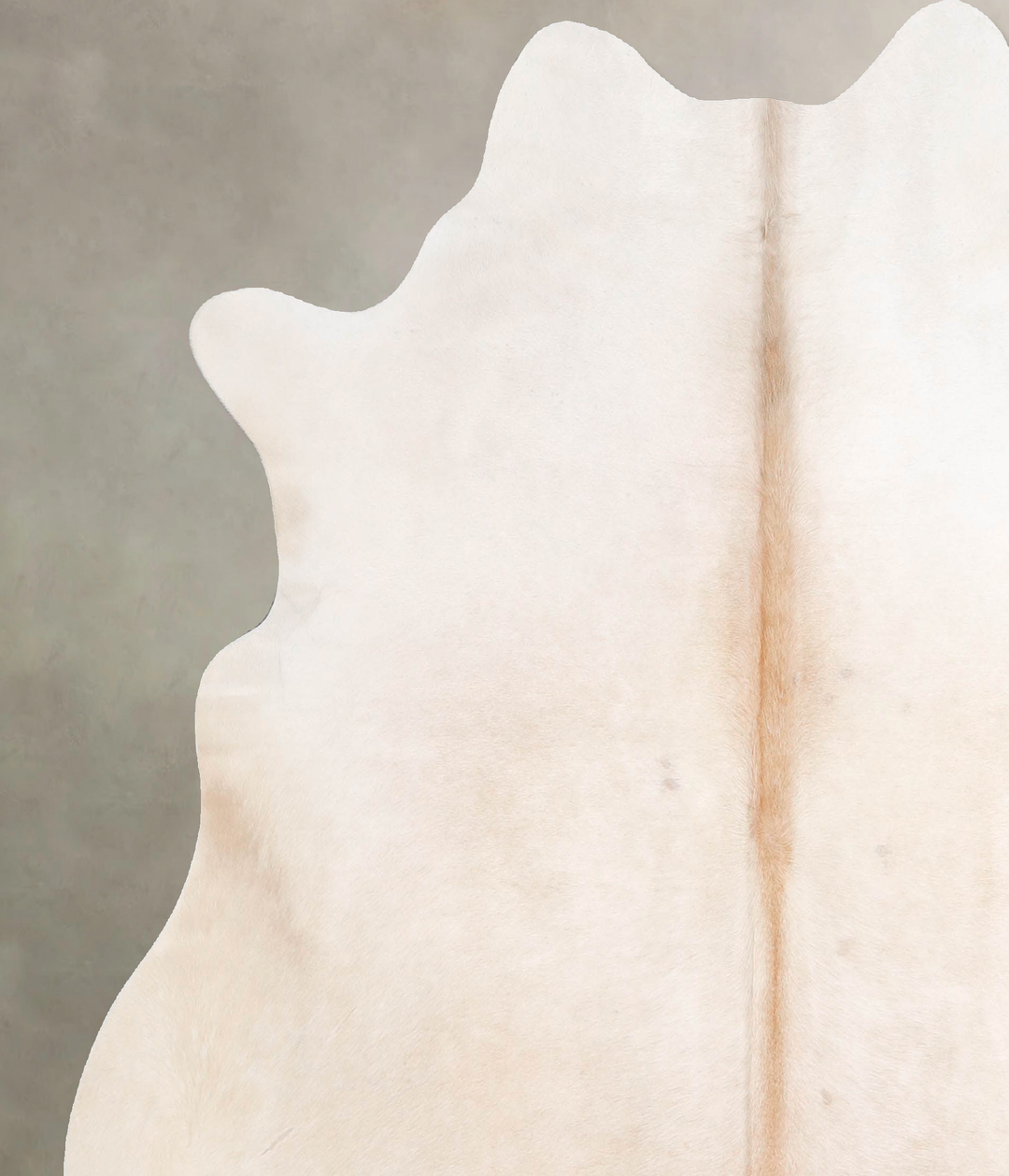 Ivory with Beige Large Brazilian Cowhide Rug 6'2"H x 5'11"W #A46614 by