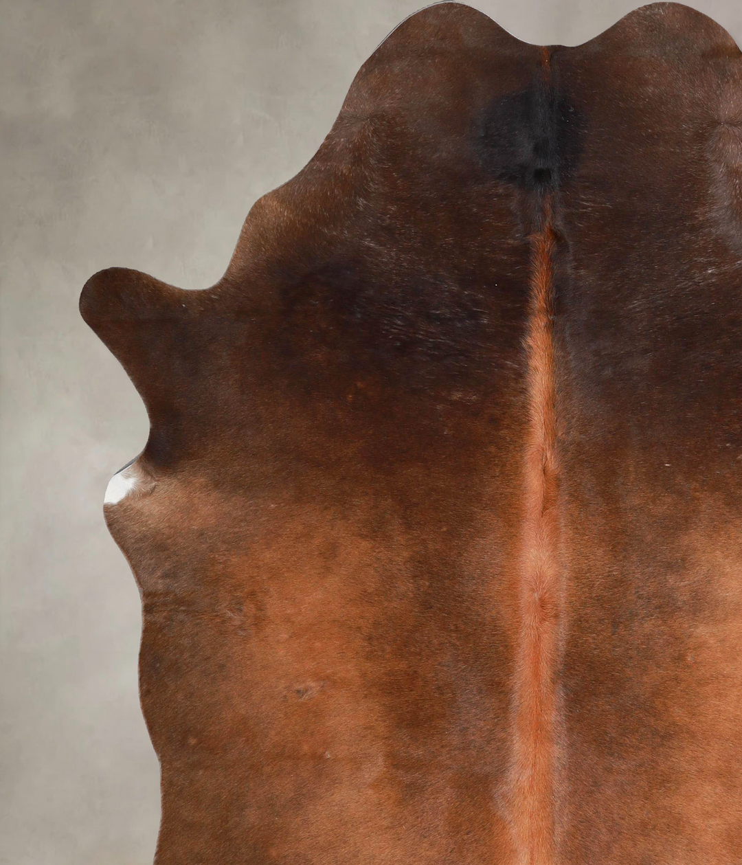 Warm Caramel X-Large Brazilian Cowhide Rug 7'0"H x 6'1"W #A46650 by Hu
