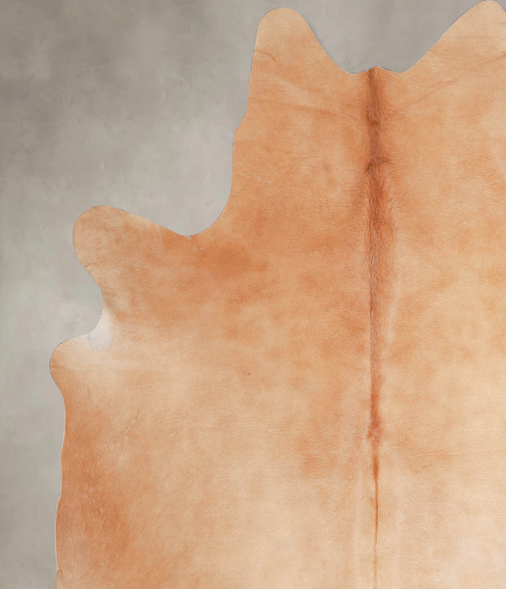 Beige XX-Large Brazilian Cowhide Rug 7'11"H x 6'5"W #A46653 by Hudson Hides