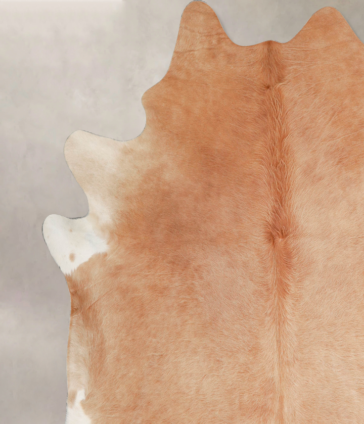 Beige XX-Large Brazilian Cowhide Rug 7'11"H x 7'6"W #A46655 by Hudson Hides
