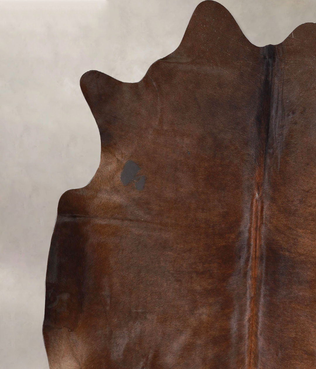 Chocolate X-Large Brazilian Cowhide Rug 6'4"H x 6'6"W #A46672 by Hudso
