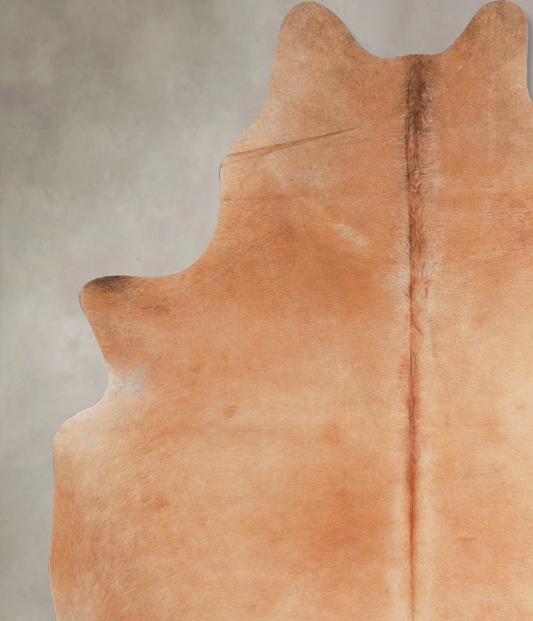 Beige Large Brazilian Cowhide Rug 6'6"H x 5'0"W #A46692 by Hudson Hide