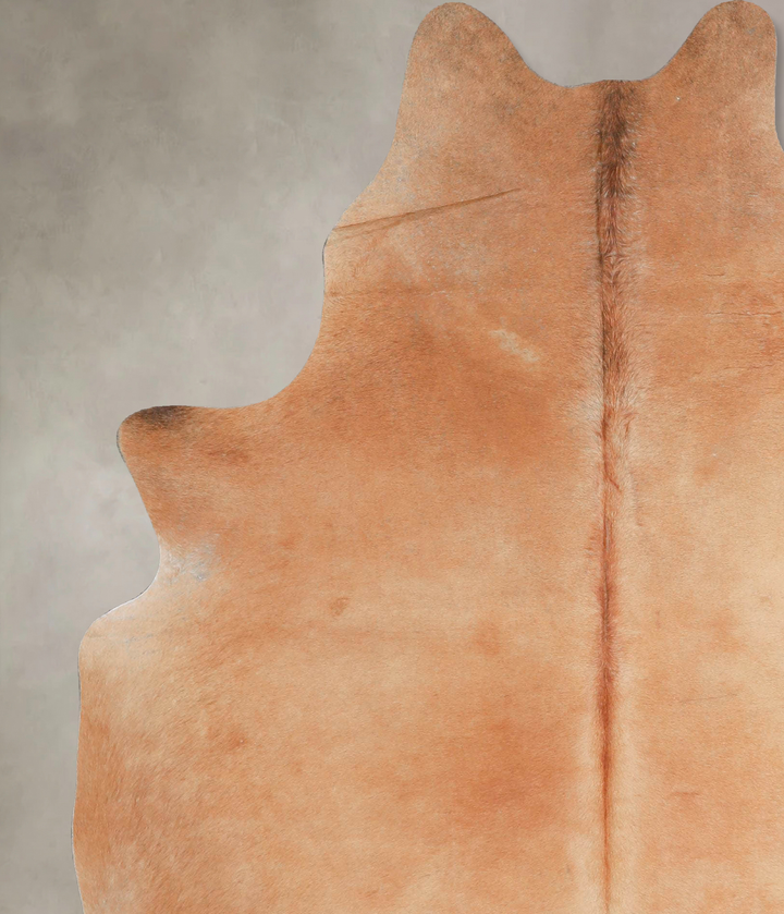 Beige Large Brazilian Cowhide Rug 6'6"H x 5'0"W #A46692 by Hudson Hides