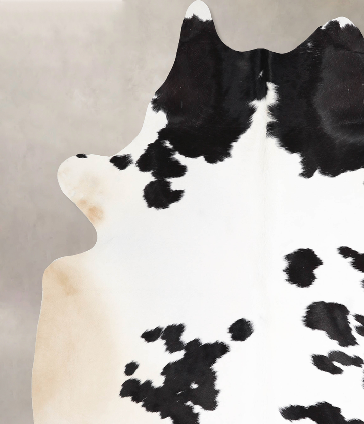 Black and White XX-Large Brazilian Cowhide Rug 7'4"H x 7'2"W #A46713 by Hudson Hides
