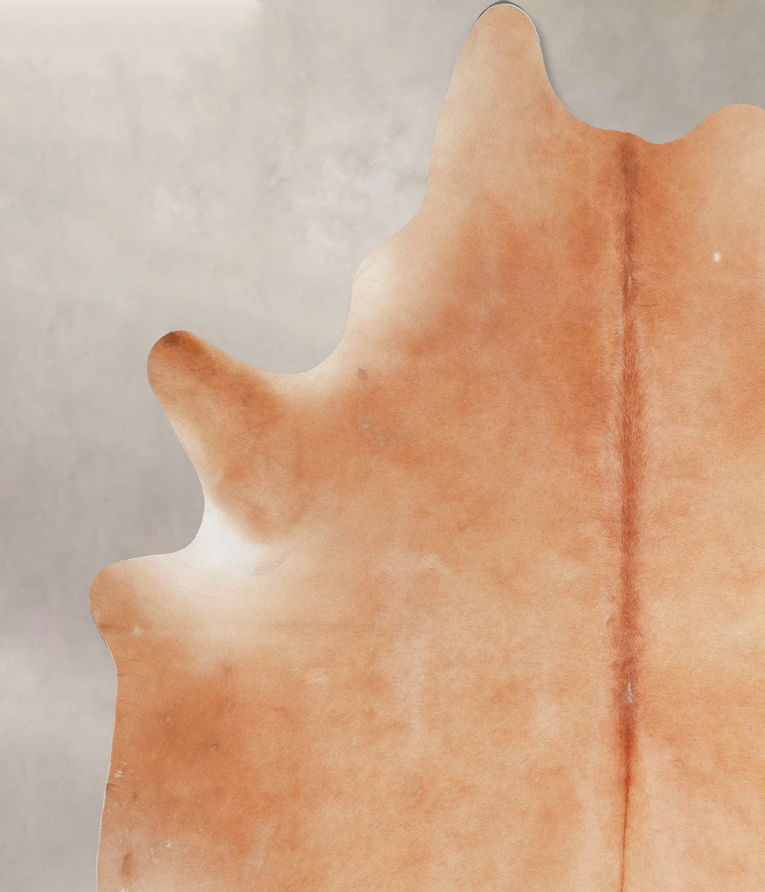 Solid Brown X-Large Brazilian Cowhide Rug 7'6"H x 6'0"W #A46732 by Hud