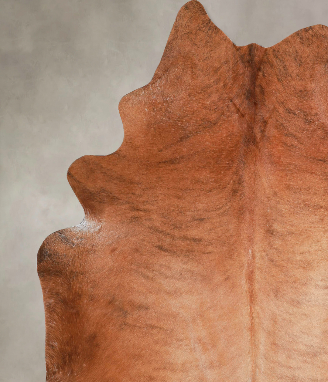 Medium Brindle XX-Large Brazilian Cowhide Rug 7'10"H x 6'8"W #A46770 b
