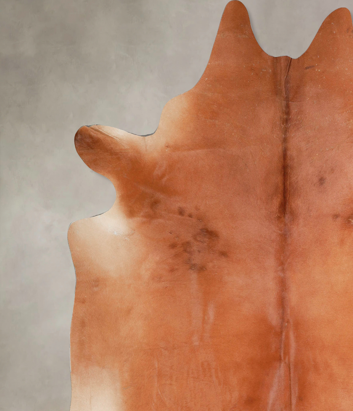 Solid Brown XX-Large Brazilian Cowhide Rug 7'10"H x 7'4"W #A46775 by Hudson Hides