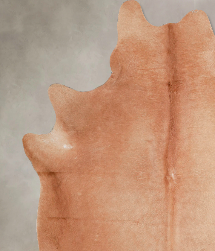 Solid Brown X-Large Brazilian Cowhide Rug 6'9"H x 6'0"W #A46788 by Hudson Hides