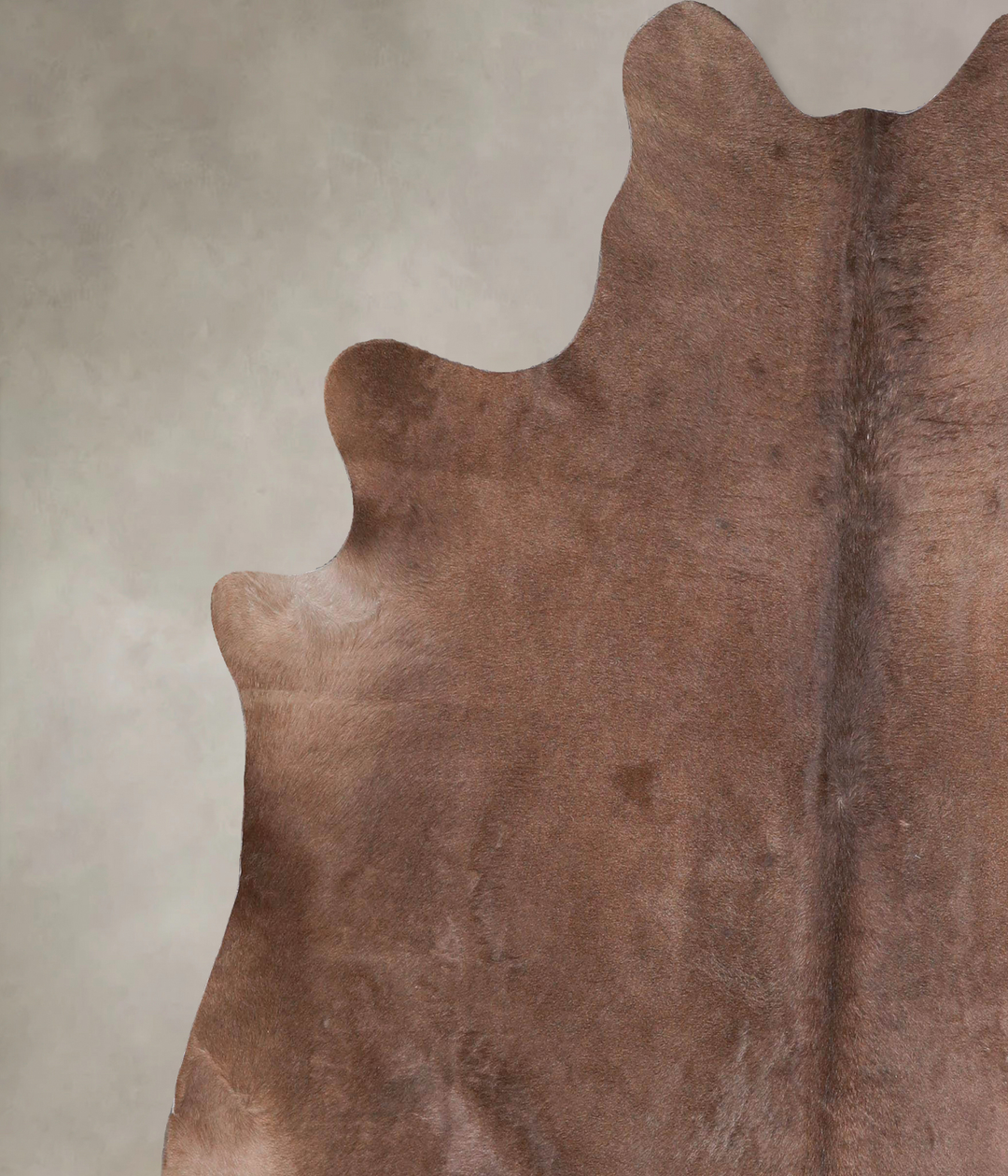 Taupe Large Brazilian Cowhide Rug 6'3"H x 6'4"W #A46793 by Hudson Hide