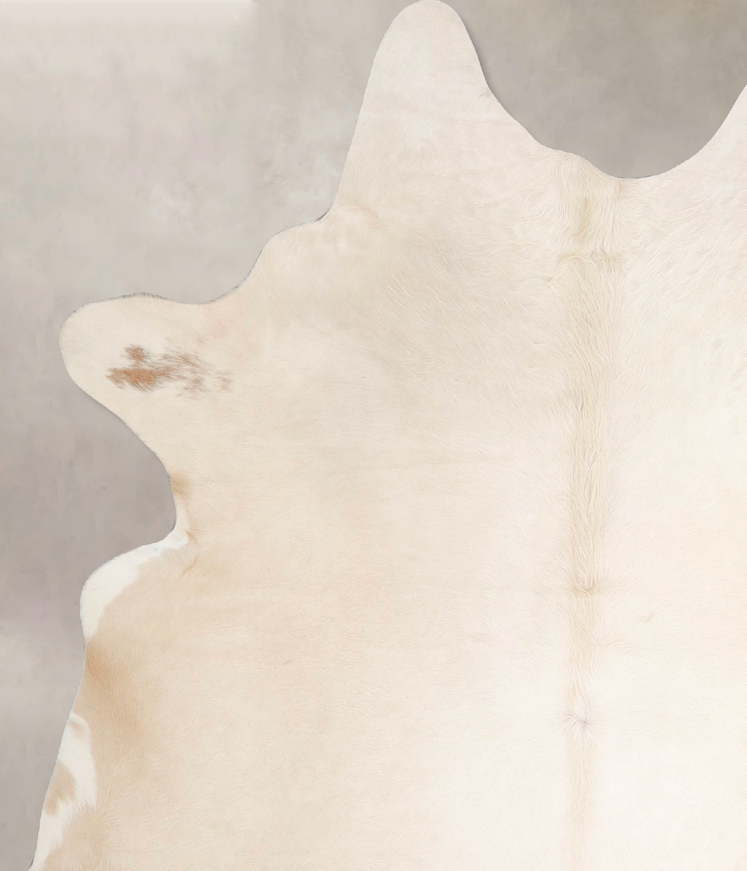 Palomino X-Large Brazilian Cowhide Rug 7'1"H x 6'4"W #A46841 by Hudson