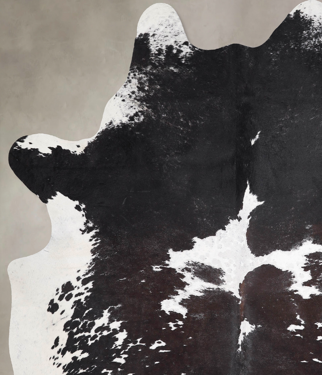 Chocolate and White X-Large Brazilian Cowhide Rug 7'10"H x 6'0"W #A468