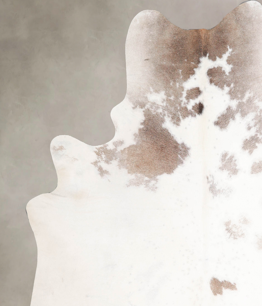 Taupe XX-Large Brazilian Cowhide Rug 8'0"H x 7'1"W #A46893 by Hudson H